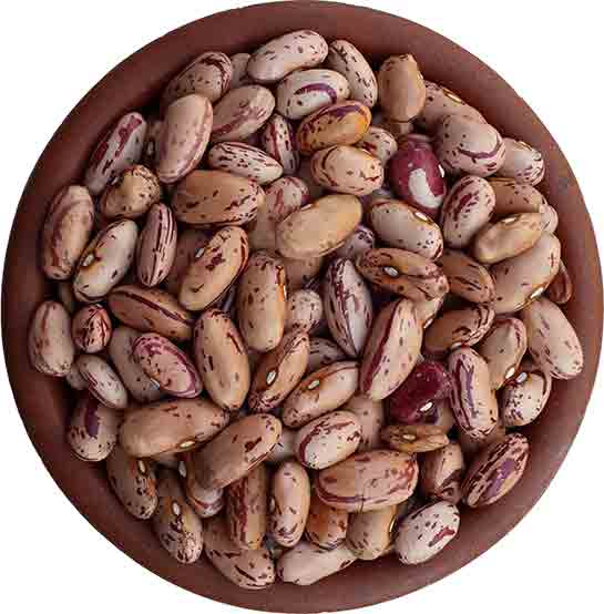 Barbunya Çeşitleri Nelerdir?