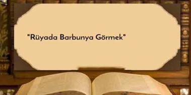 Rüyada Barbunya Görmek